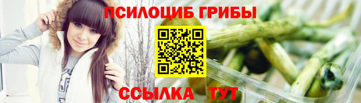 дарнет шоп  Выборг  Псилоцибиновые грибы Psilocybine cubensis  Галлюциногенные грибы Magic Shrooms 
