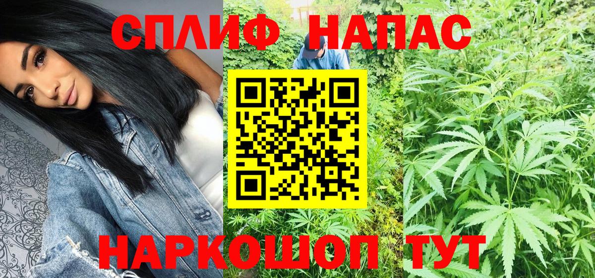Выборг  Бошки марихуана гибрид  Шишки марихуана AK-47  Канабис VHQ  МАРИХУАНА THC 21%  Вход с VPN 